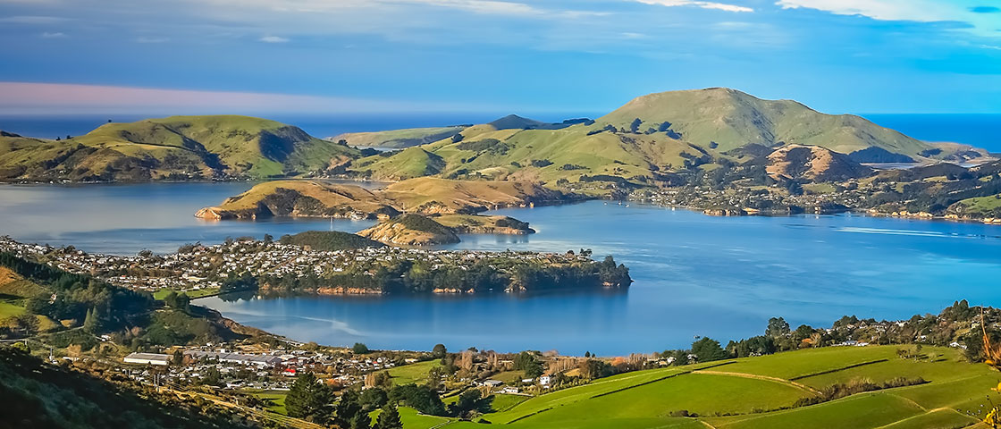 Dunedin